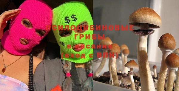 прущая мука Аркадак